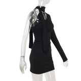 Women Slash Shoulder neck long sleeve Bodycon Dress