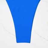 Sexy Bikini Women Two Pieces Swimsuit