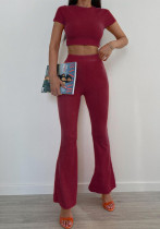 Autumn Women's Fashion Chic Casual Solid Color Short Sleeve Top Pants Set