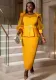 Round Neck See-Through Lantern Sleeve Formal Party Fashion Women Dresses