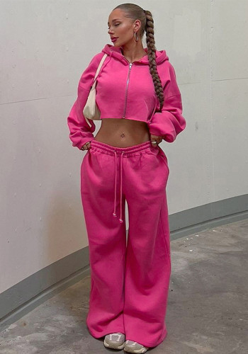Women's Autumn Winter Fashion Zipper Hooded Crop Top Slim Casual Pants Two-Piece Set