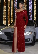 Long Sleeve Dress Skirt Feminine Chic Sequin Tassel Sexy Low Back Evening Dress