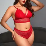 Plus Size Sexy Lace Lingerie Set