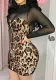 Women's Black Mesh Patchwork Leopard Bodycon Dress