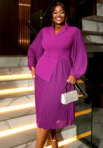 Women Turndown Collar Lantern Long Sleeve Asymmetric Pleated Dress