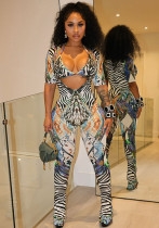 Winter Women's Sexy Fashion Print Bikini Short Sleeve Slim Jumpsuit Two-Piece Set