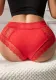 Valentine's Day Sexy Lingerie Plus Size High Waist Lace See-Through Briefs Panties