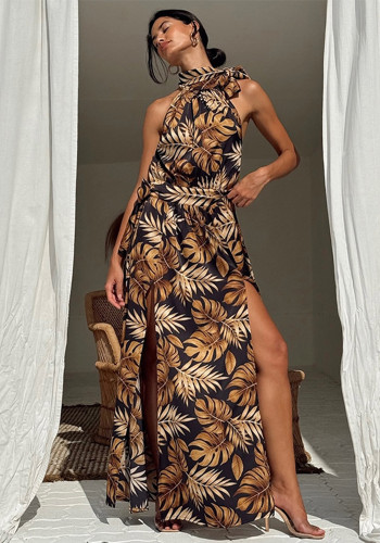 Spring Women's Fashion Print Sexy High Slit Long Dress