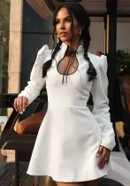 Women's Slim Long Sleeve Stand Collar A-Line Short Dress