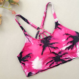 Women's Swimsuit Coconut Tree Print Square Leg Three-Piece Swimsuit