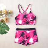 Women's Swimsuit Coconut Tree Print Square Leg Three-Piece Swimsuit