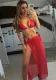 Sexy Halter Neck Cross Lace-Up Print Mesh Long Skirt Three-Piece Bikini Women Swimsuit