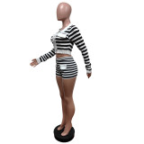 Women Stretchy Striped Lace-up Turndown Collar Long Sleeve Top And Shorts Two-piece Set