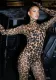 Women's Spring Leopard Print Mesh Long Sleeve Tight Fitting Sexy Jumpsuit