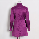 Women Sexy Satin Pleated Design Solid Dress