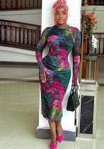 Women Elegant Printed Bodycon Round Neck Long Sleeve Dress