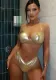 Sexy Halter Neck Swimsuit Solid Color Two Pieces Bikini