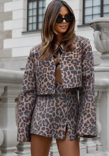 Women's Leopard Print Long Sleeve Short Top Slit Short Skirt Two-Piece Set