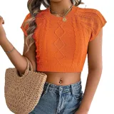 Women Spring and Summer Casual Solid Short Sleeve Knitting Holidays Crop Top