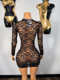 Women Sexy Lace Hollow Bodycon Dress