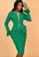 Plus Size Sheer Tight-Fitting Bodycon Formal Party Dress