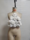 Women's White Floral Sequin Crop Top