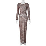 Women’s Sexy Fashion Sheer Mesh Leopard Print Slim Long Sleeve Dress