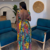 Women’s Fashionable Elegant Ruffled Strap Backless Pleated Print Dress