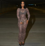 Women’s Sexy Fashion Sheer Mesh Leopard Print Slim Long Sleeve Dress