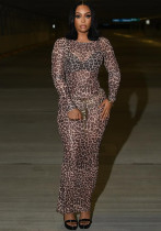 Women’s Sexy Fashion Sheer Mesh Leopard Print Slim Long Sleeve Dress