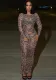Women’s Sexy Fashion Sheer Mesh Leopard Print Slim Long Sleeve Dress