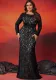 Plus Size Women Lace Contrast Round Neck Long Sleeve Dinner Evening Dress