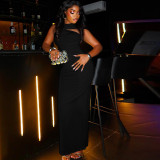 Women Elegant Solid Metal Pleated Bodycon Halter Asymmetric Neck Maxi Dress