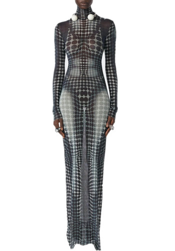 Women Leopard Round Neck Long Sleeve Maxi Dress
