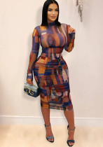 Women Elegant Printed Mesh Pleated Dress