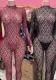 Sexy Lace See-Through Jumpsuit