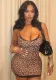 Lace-Patchwork Slim Leopard Print Sexy Bodycon Short Dress for Women