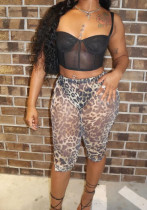 Leopard Print Fashion Slimming Sexy See-Through Mesh Shorts Casual Pants Women's Clothing