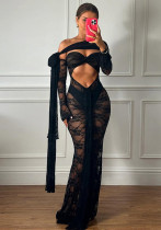 Spring Summer Women's Sexy See Through Lace Strapless Slim Slit Dress
