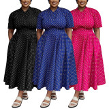Summer Plus Size Women's Short Sleeved V neck Bohemian Polk Dot Print Long Dress