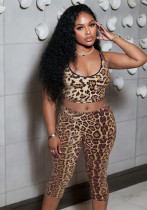 Women spring and summer Halter Neck leopard print sequin Backless Top and Shorts Two Piece Set