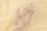 Women Summer Lace See-Through Ruffle Edge Crop Top and Skirt Two Piece Set