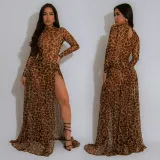Women Sexy Leopard Print Long Sleeve Slit Dress
