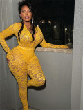Women Solid Sexy Lace Hollow V Neck See-Through Long Sleeve Top Trousers Two Piece Set