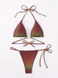 Multi-Color High-Waist Briefs Sexy Two-Piece Bikini Swimsuit for Women