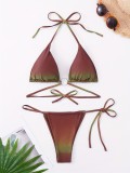 Multi-Color High-Waist Briefs Sexy Two-Piece Bikini Swimsuit for Women