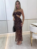 Women's Summer Leopard Sexy Strapless Mesh Dress