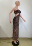 Women's Summer Leopard Sexy Strapless Mesh Dress