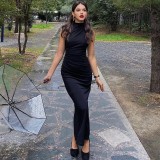 Sleeveless Round Neck Chic Casual Long dress for women