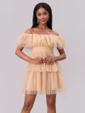 Women Spring Summer Off-shoulder Sexy Mesh Party Off Shoulder Mini Dress